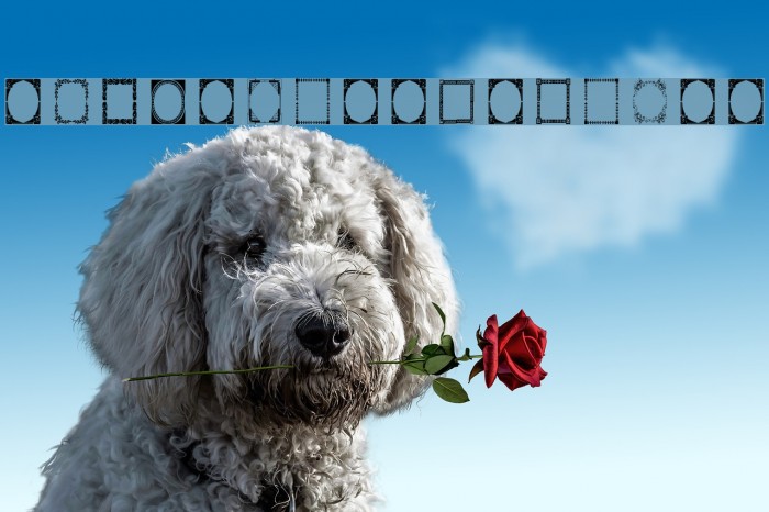 Vintage Frames 7 Example 2