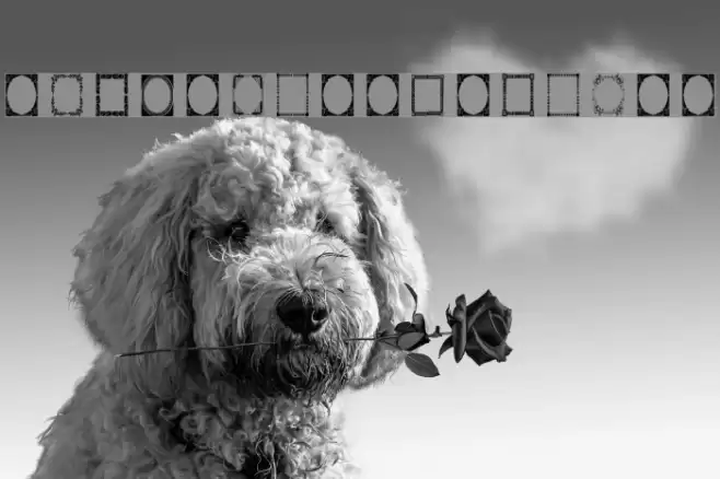 Vintage Frames 7 Font examples