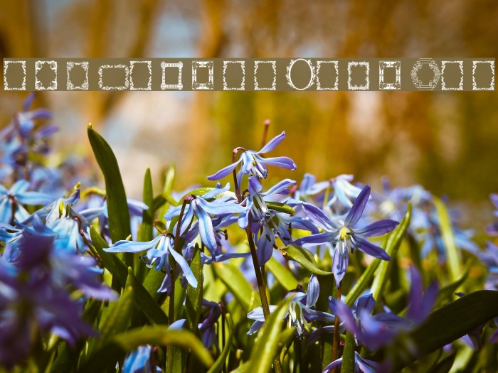 Vintage Frames 8 Font examples
