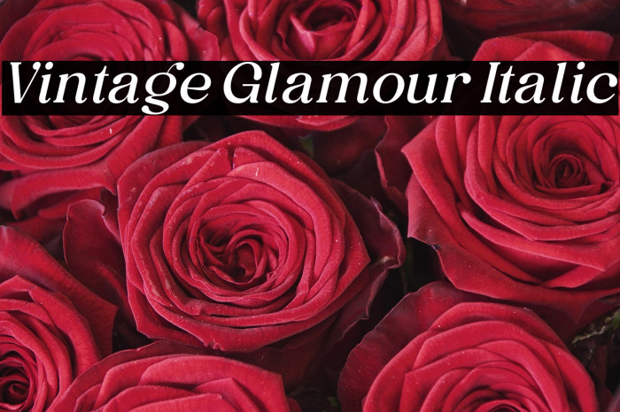 Vintage Glamour Italic Example 3