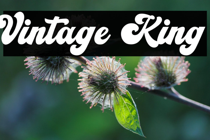 Vintage King Example 2