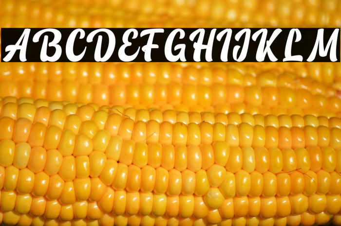 Vintage Lander personal use Example 1