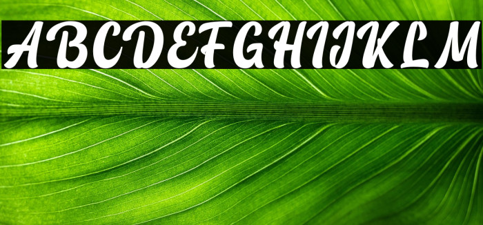 Vintage Lander personal use Example 2