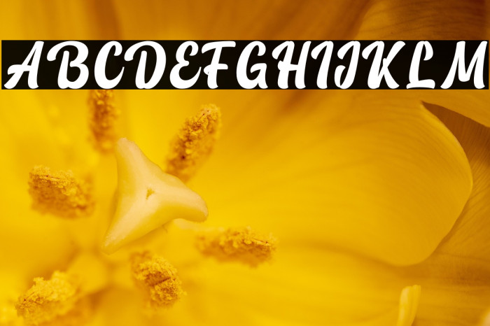 Vintage Lander personal use Example 3