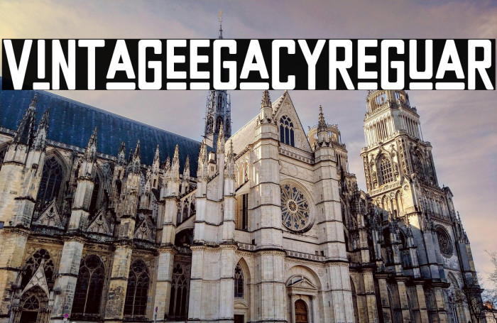 Vintage Legacy Regular Example 1