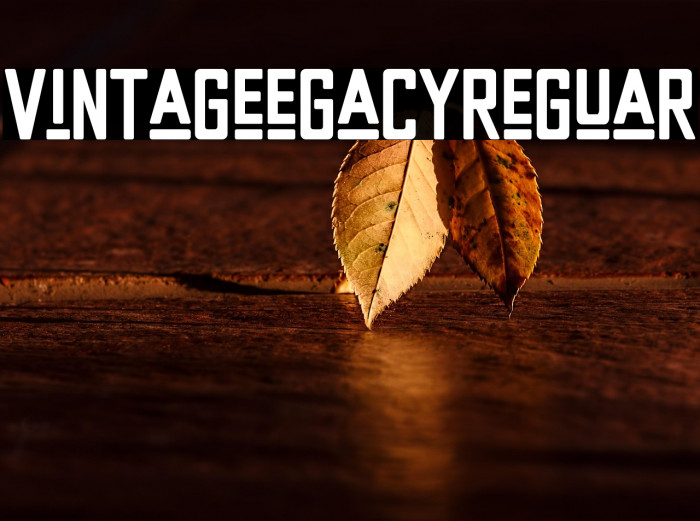 Vintage Legacy Regular Example 2