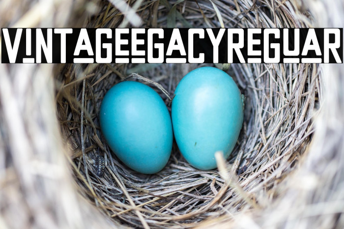 Vintage Legacy Regular Example 3