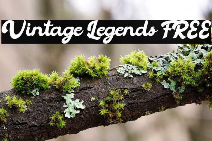 Vintage Legends FREE Example 2