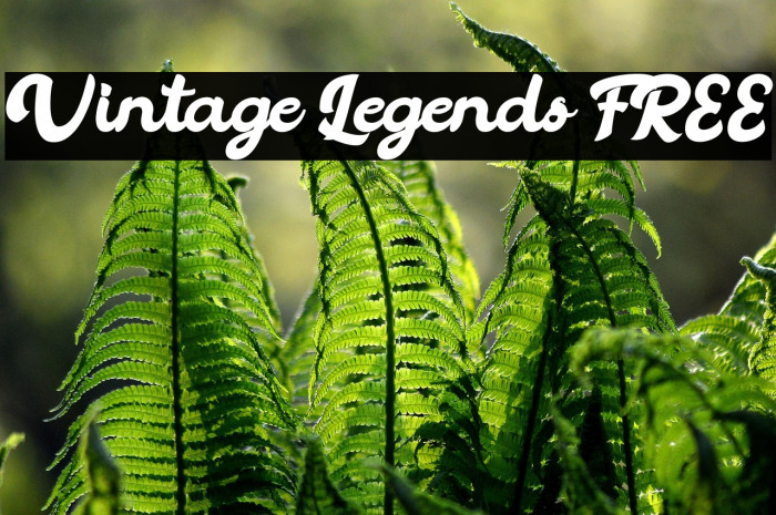 Vintage Legends FREE Example 3