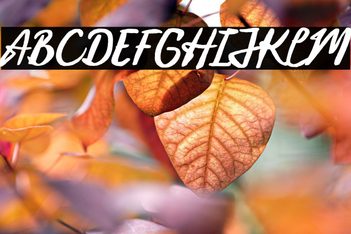 Vintage Light DEMO Example 1