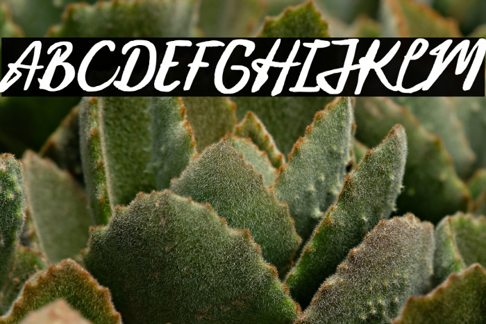 Vintage Light DEMO Example 3