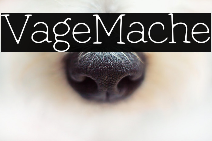 Vintage Machine Example 1