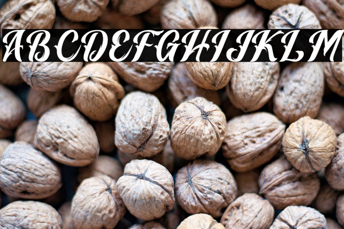 Vintage Melody Personal Use Example 1