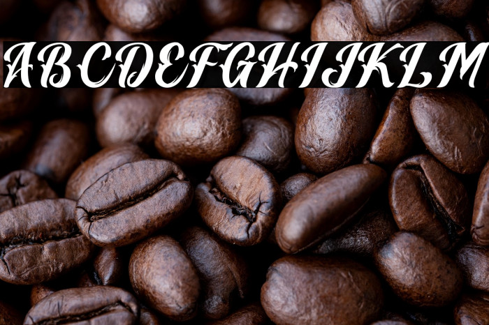 Vintage Melody Personal Use Example 3