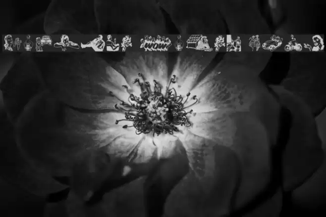 Vintage Mixed vol2 Font examples