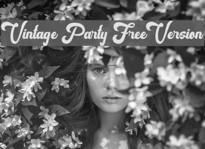 Vintage Party FreeVersion Шрифта examples
