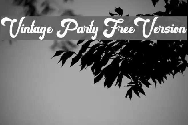Vintage Party FreeVersion Шрифта examples