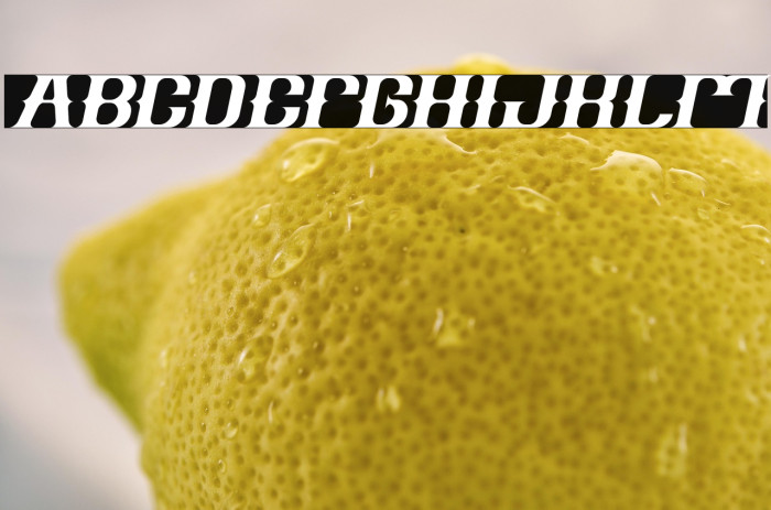 Vintage Postcard Italic Example 2