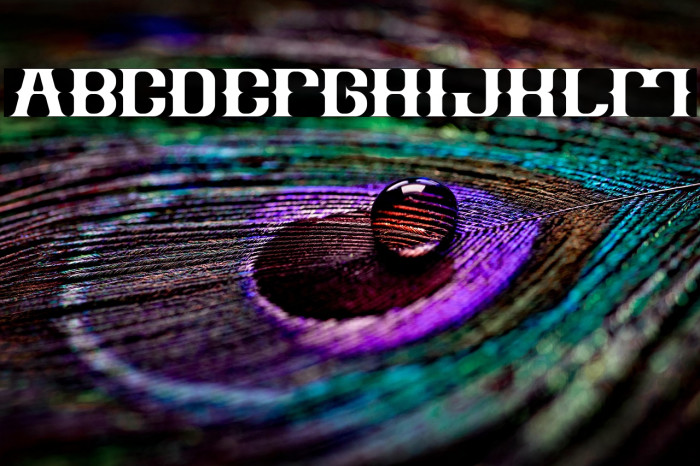 Vintage Postcard Example 2