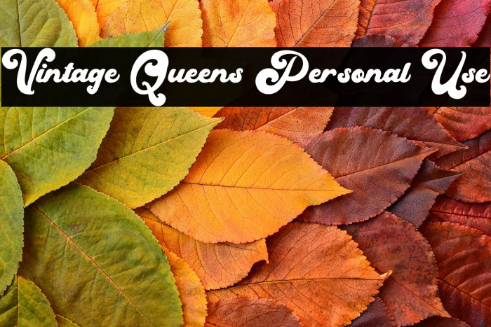 Vintage Queens Personal Use Example 1