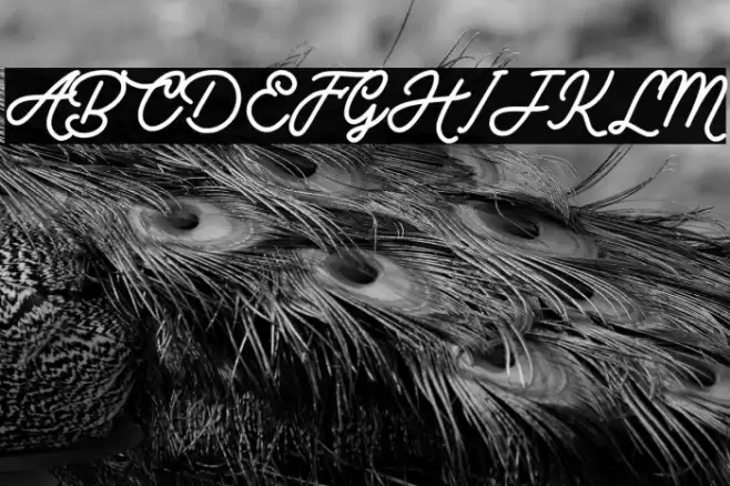 Vintage Rotter Personal Use Font examples