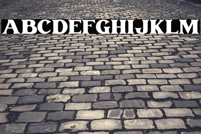 Vintage Rovery Personal Use Example 1