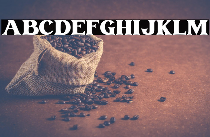 Vintage Rovery Personal Use Example 3