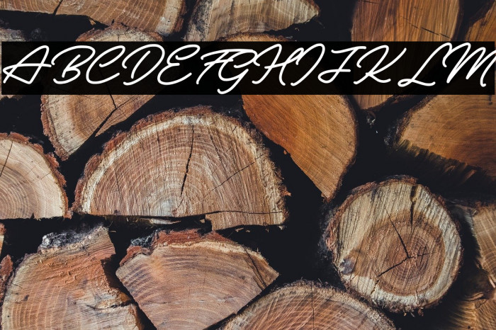 Vintage Signature Personal Use Example 1