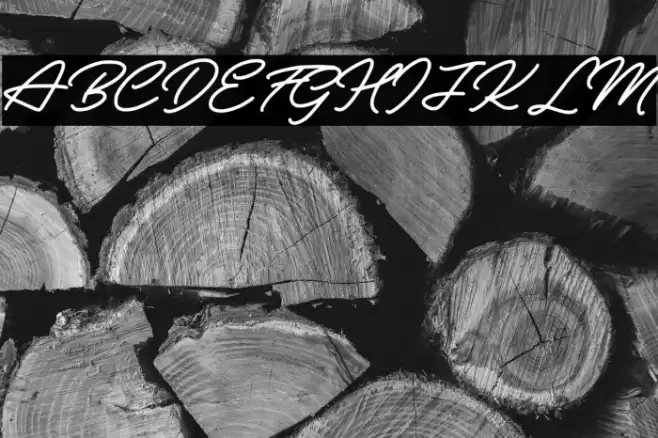 Vintage Signature Personal Use Fuentes examples