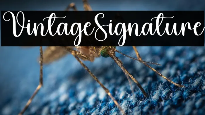 Vintage Signature Example 2