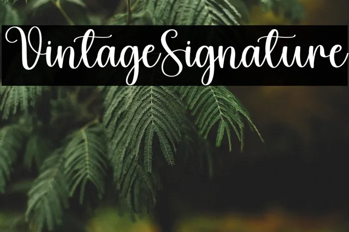 Vintage Signature Example 3