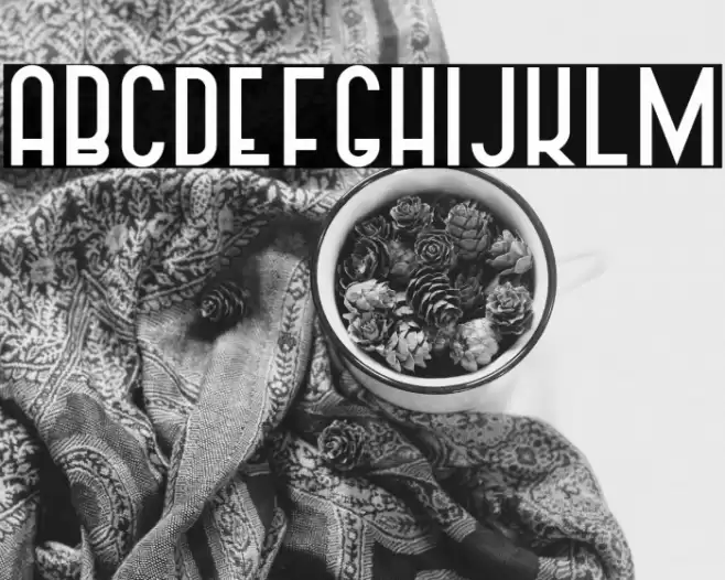 Vintage Straps Bold Font examples