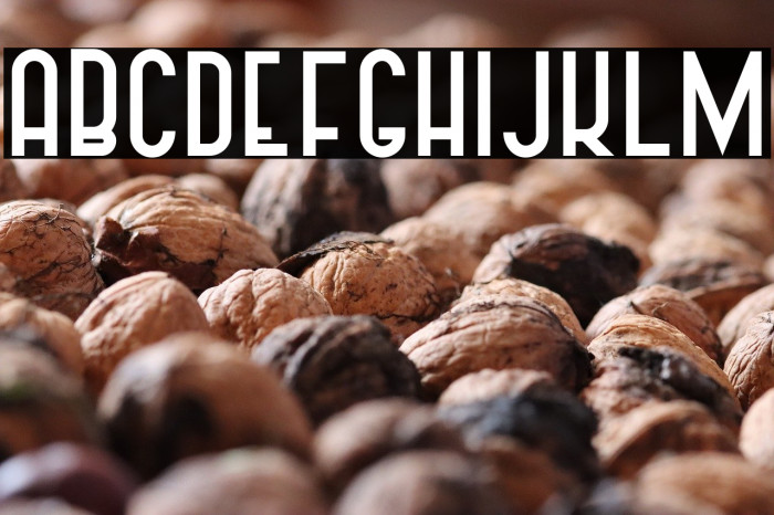 Vintage Straps Bold Example 2