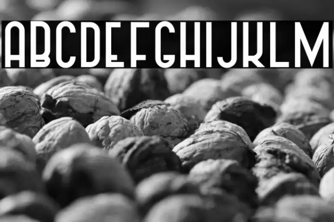 Vintage Straps Bold Font examples