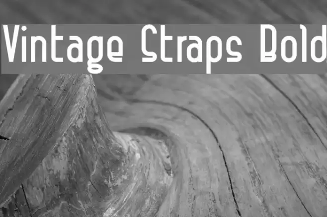Vintage Straps Bold Font examples