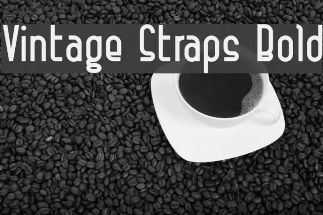 Vintage Straps Bold Font examples