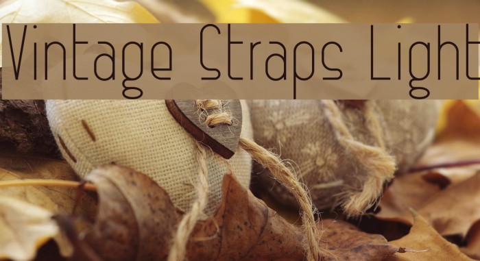 Vintage Straps Light Font examples
