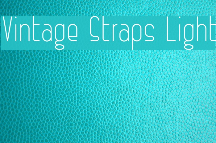 Vintage Straps Light Font examples
