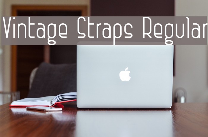 Vintage Straps Regular Example 2
