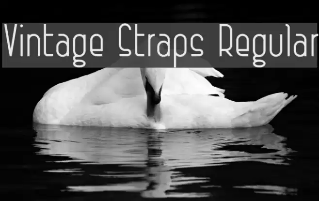 Vintage Straps Regular Font examples