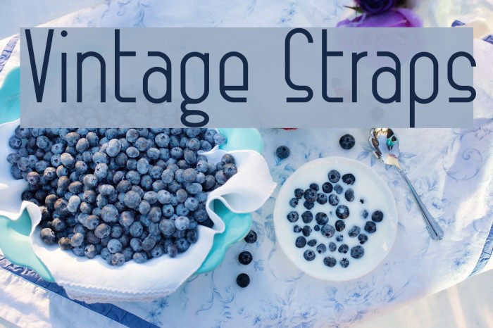 Vintage Straps Example 1