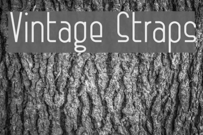 Vintage Straps Font examples