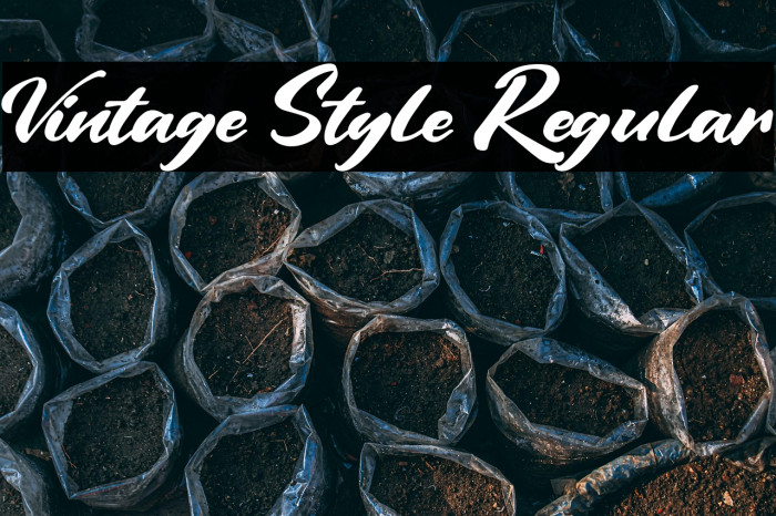 Vintage Style Regular Example 2