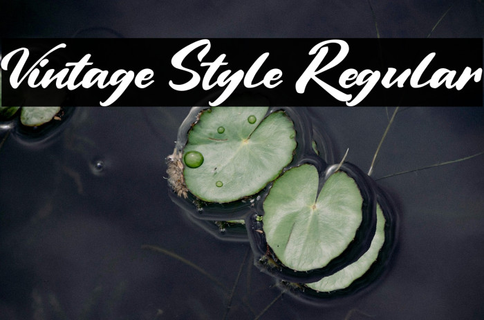 Vintage Style Regular Example 3