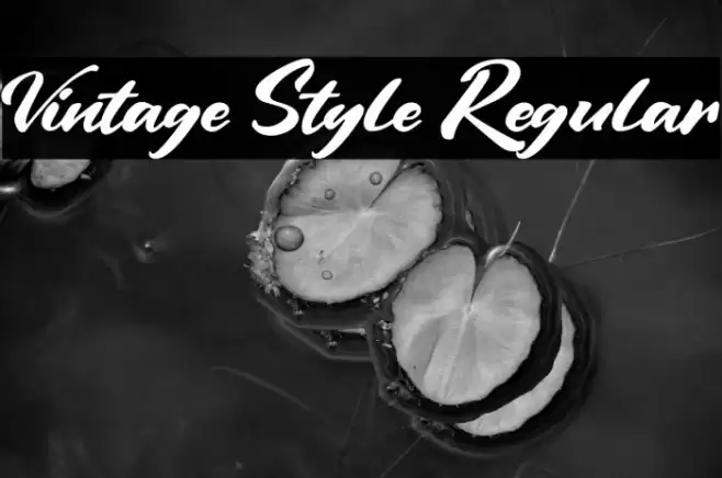 Vintage Style Regular Font examples