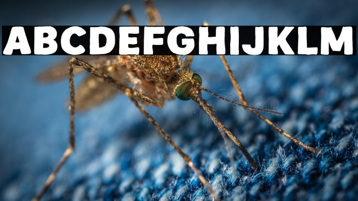 Vintage Vibes Example 3