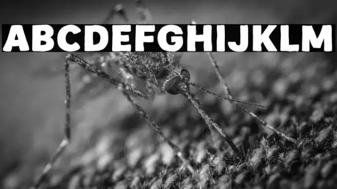 Vintage Vibes Font examples