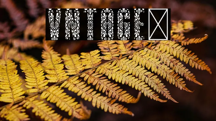 Vintage1 Example 3