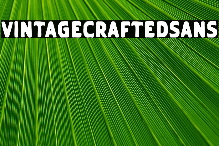 VintageCraftedSans Example 1