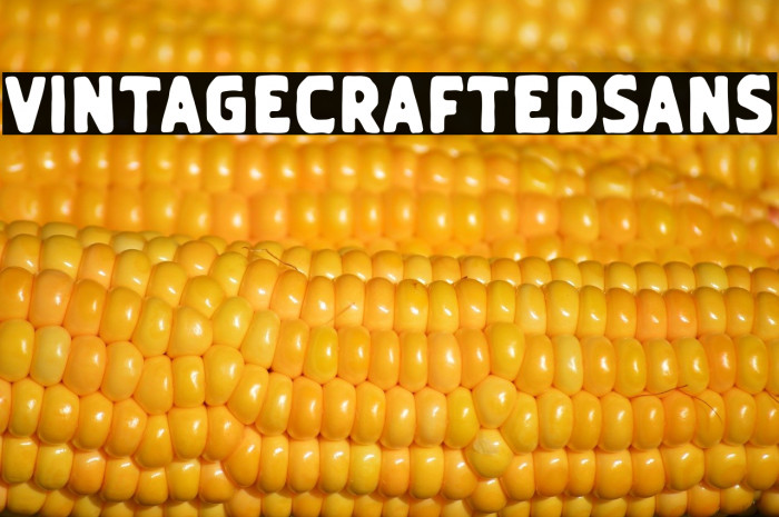 VintageCraftedSans Example 2